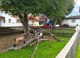 Ferienhof Moser, Aschau im Zillertal, © Urlaub am Bauernhof/Ferienhof Moser