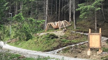 Waldtierweg, © TVB Stubai