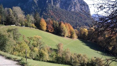 Ferienwohnung Köllnberg Schwoich Aussicht Herbst