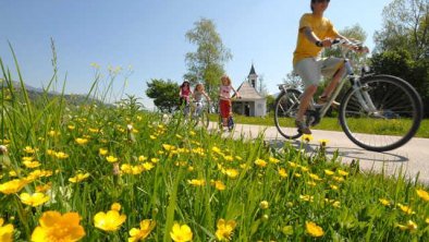 Innradweg Radfeld, © Alpbachtal Tourismus / Berger Bernhard