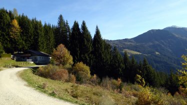 Weg zum Gasthof Loas, © Tirol Werbung