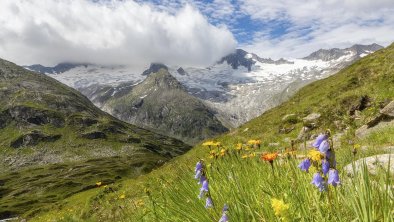 bei der Berlinerhütte