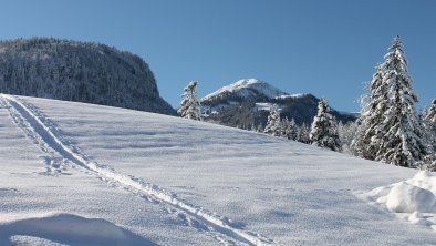 Schispur von unserem Haus weg, © Schwaiger Manfred