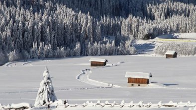 Langlaufspaß beim Biathlonzentrum, © Schneider