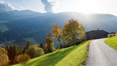 Herbstimpressionen_TVB_Wildschoenau_Dabernig_10_20