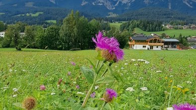 Blick vom Astberglift