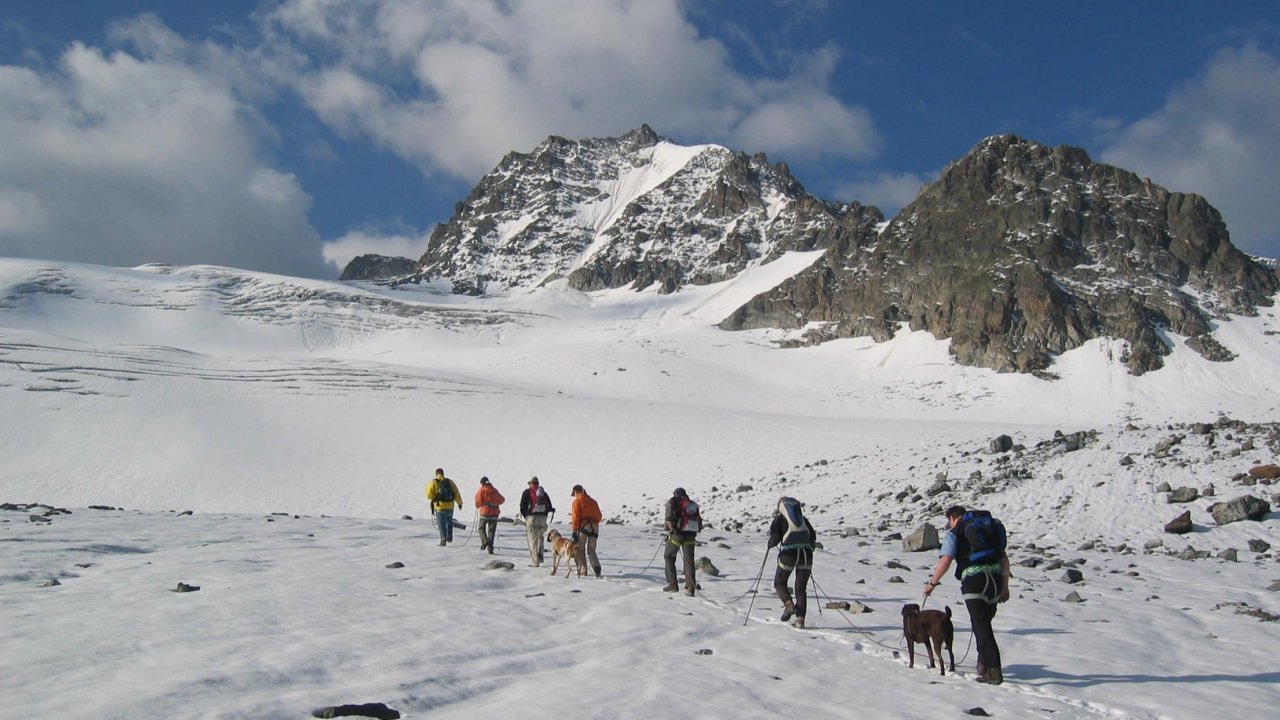 Gletschersafari in Ischgl mit Hund , © Hotel Fliana