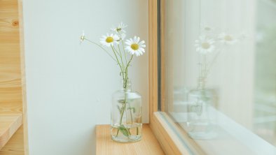 Impressionen Blumen im Haus Aerli-192