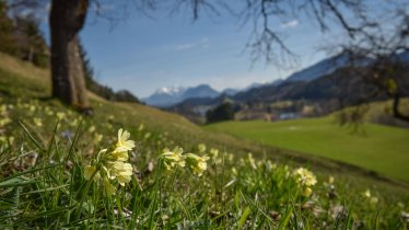 Kramsach Seebühel, © Alpbachtal Tourismus