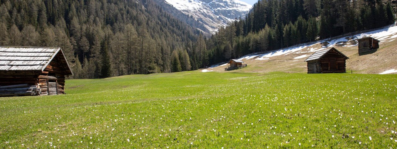 Frühling in der Pfundser Tschey, © Tirol Werbung/Marion Webhofer