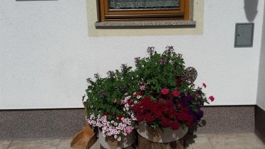 Hausblumen