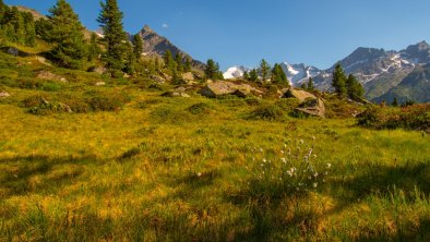 wanderung-ins-wildkar