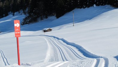 Loipe Niederau Oberau Winter  FG T.L.  REchte Wild