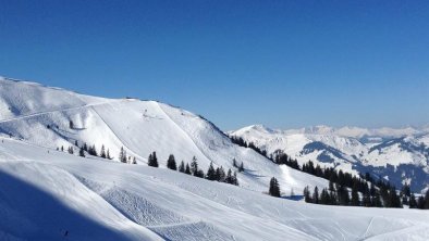 Skigebiet Winter, © KITZALPHOUSE Apartments