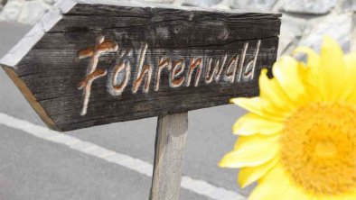 Föhrenwald-Schild