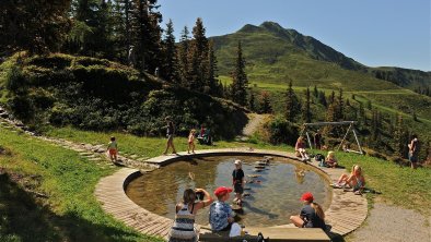 Alpbach, Wiedersbergerhorn, Lauserland, Teich, © Alpbachtal Tourismus