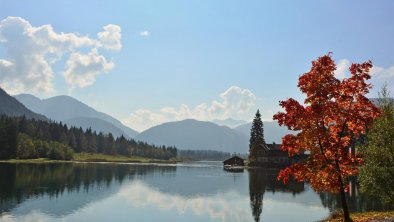 Herbst_Pillersee (1)