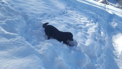 der Chef im Schnee