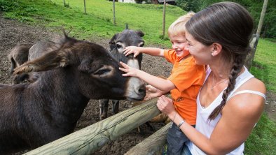 Wildpark Assling