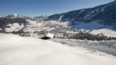 Blick auf Niederau Wildschönau FG T. Trinkl (13)