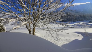 Villa Aigner - Langlaufloipe am Haus