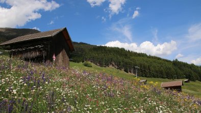 neben den Seilbahnen in schönster Natur