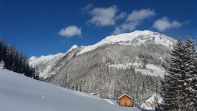 Hängebrücke Holzgau