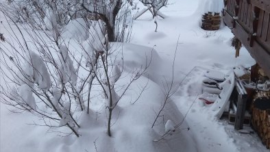 Garten im Winter