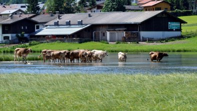 Pillersee Kurzurlaub 3.Tag_20