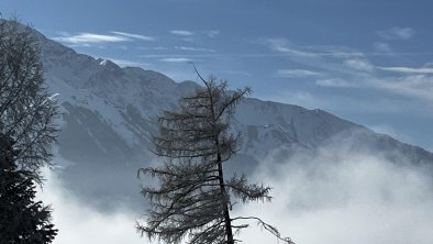 Detailfoto Nebel