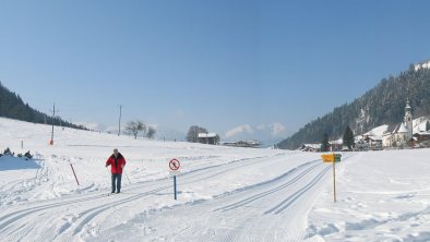 Schneerose Panorama 2