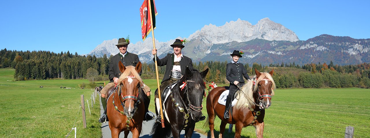 Noriker und Wilder Kaiser - Leonhardiritt in Oberdorf in Tirol, © Monika Pletzer