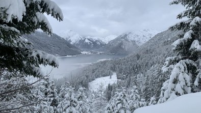 Spazierganz von der Wohnung aus zur Buchaueralm