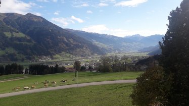 Blick ins hintere Zillertal