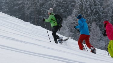 Schneeschuhwanderung am Speckbacherweg, © Region Hall-Wattens