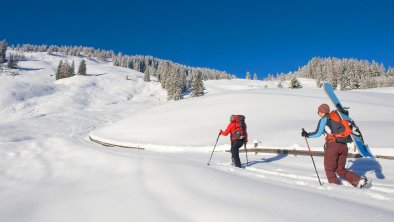 Pension Alpina Winter