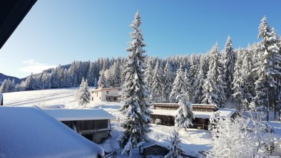 Ausblick-Winter