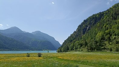 Ferienwohnung Hinterwinkl - Sommer