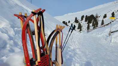 Rodelfreuden ohne Ende