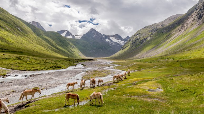 
, ©  Bergbahnen Obergurgl-Hochgurgl