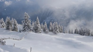 Winter am Berg