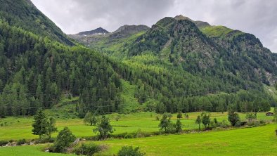 Riepleralm Ausblick, © Theresia Steiner