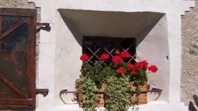 Landhaus Schloss Anras Kornkasten Geranien