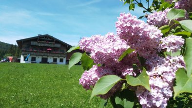 Ferienwohnung Hinterwinkl - Sommer