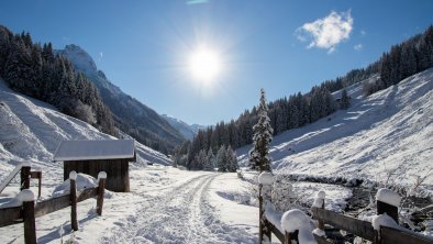 Rettensteinhütte_Winter_Anfahrt_Hintenbach