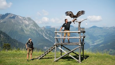 adlerbuehne-geniesserberg-ahorn-foto-mayrhofner-be