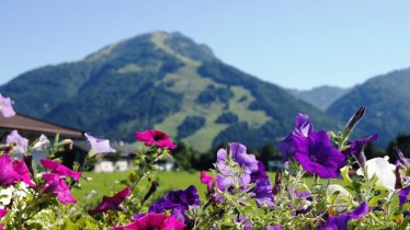 Blick auf die Berge