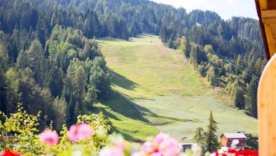 Blick zur Waldabfahrt von den Suedbalkonen