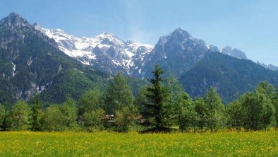 Ausblick im Sommer