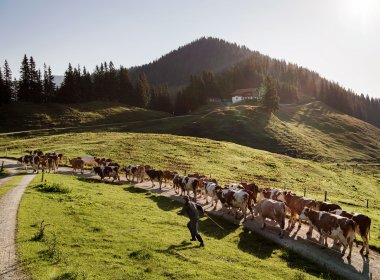 Die Burgeralm., © Tirol Werbung, Frank Bauer